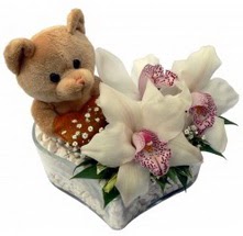 Ertu�rulgazi Mah �i�ek g�nderme  15 cm boyutlarinda ayicik ve 1 kandil orkide