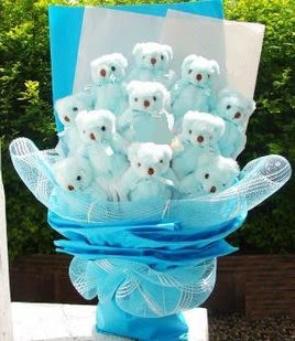 13 adet pelus ayiciktan g�rsel hediye buketi Tando�an Mah g�venli kaliteli h�zl� �i�ek 