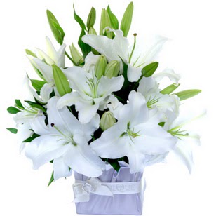 Ertu�rulgazi Mah �i�ek g�nderme  2 dal cazablanca vazo �i�e�i