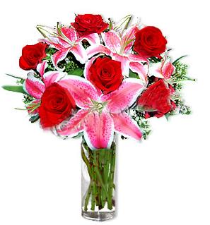 Ertuğrulgazi Mah çiçek gönderme  1 dal cazablanca ve 6 kırmızı gül çiçeği