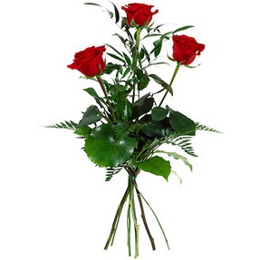 Gaziosmanpa�a Mah �i�ek g�nderme  3 adet k�rm�z� g�lden buket