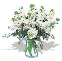 Fatih �i�ek g�nderme sitemiz g�venlidir  Vazoda beyaz g�zel sebboylar