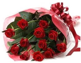 Sevgilime hediye e�siz g�ller Gaziosmanpa�a Mah �i�ek g�nderme 