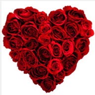 Gaziosmanpa�a Mah �i�ek g�nderme  19 adet k�rm�z� g�lden kalp tanzimi