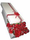 H�rriyet Mah 14 �ubat sevgililer g�n� �i�ek  11 adet 1.kalite magnum g�ller