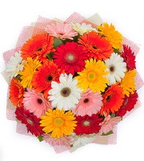 15 adet renkli gerbera buketi Yunusemre Mah hediye �i�ek yolla 