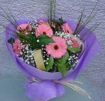 Plevne Mahallesi �i�ek ma�azas�  9 adet gerbera g�zel �i�egi