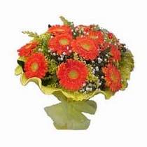 Ertu�rulgazi Mah �i�ek g�nderme  11 adet se�me gerbera �i�egi