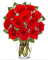 12 adet vazoda k�pk�rm�z� g�l Fatih �i�ek g�nderme sitemiz g�venlidir 