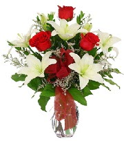 5 adet k�rm�z� g�l ve 1 dal kazablanka Atat�rk Mah yurti�i �i�ek sipari�i 