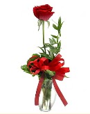 vazo i�erisinde 1 adet k�rm�z� g�l H�rriyet Mah 14 �ubat sevgililer g�n� �i�ek 