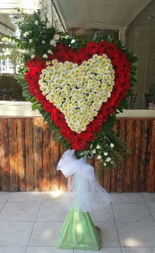 D���n Nikah pano �zel tanzimi Tando�an Mah g�venli kaliteli h�zl� �i�ek 