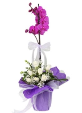 1 dal mor orkide ve 11 adet beyaz g�l Fatih online �i�ek g�nderme