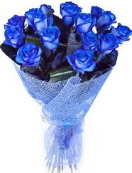 9 adet mavi gülden buket çiçeği Malazgirt Mah anneler günü çiçek yolla 