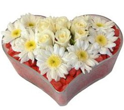 Kalp i�erisinde 7 beyaz g�l ve papatyalar Tando�an Mah g�venli kaliteli h�zl� �i�ek 