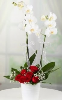 2 dall beyaz orkide 7 adet krmz gl Fatih online iek gnderme