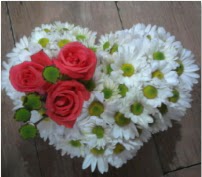 3 adet k�rm�z� g�l mika kalptte papatyalar Tando�an Mah g�venli kaliteli h�zl� �i�ek 