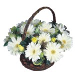 Atat�rk Mah yurti�i �i�ek sipari�i  Sepet i�inde  gerbera aranjmani 