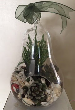 Orta boy armut terrarium 3 kakt�s Ahievran Mahallesi �i�ek sipari�i sitesi 