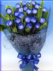 19 adet e�siz mavi g�l buketi Gaziosmanpa�a Mah �i�ek g�nderme 