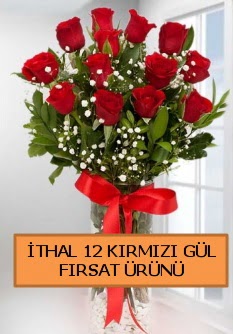 �thal k�rm�z� 12 adet kaliteli g�l Osmanl� Mah �i�ek online �i�ek sipari�i 