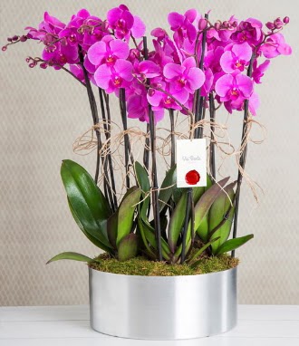 11 dallı mor orkide metal vazoda Plevne Mahallesi çiçek mağazası 