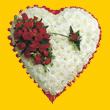 gaziosmanpa�a ucuz �i�ek g�nder  1.20m x 1.20m  Gerbera G�ller