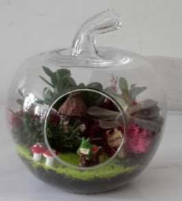 Elma cam orta boy terrarium teraryum Ankara Sincan cicekci 