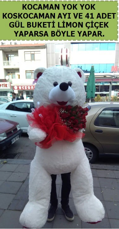 Koskocaman beyaz ay� ve 25 adet g�l Atat�rk Mah yurti�i �i�ek sipari�i 