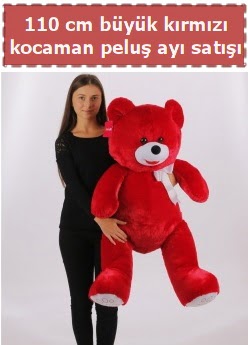 110 cm b�y�k k�rm�z� kocaman pelu� ay� Ankara Sincan cicekci 