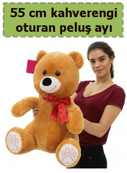 55 cm orta boy oturan kahverengi pelu� ay� H�rriyet Mah 14 �ubat sevgililer g�n� �i�ek 