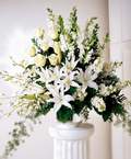 Tando�an Mah g�venli kaliteli h�zl� �i�ek  Sebboy g�l kazablanka asalet