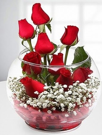K�rm�z� Mutluluk fanusta 9 k�rm�z� g�l Atat�rk Mah yurti�i �i�ek sipari�i 