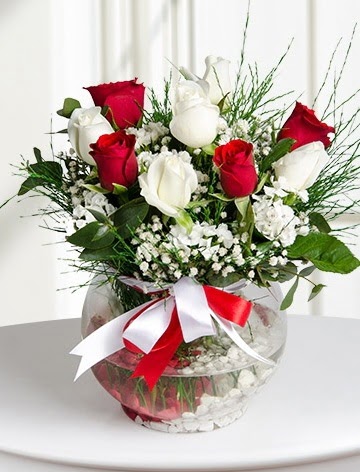 A�k K�resi  5 beyaz 5 k�rm�z� g�l fanusta Tando�an Mah g�venli kaliteli h�zl� �i�ek 
