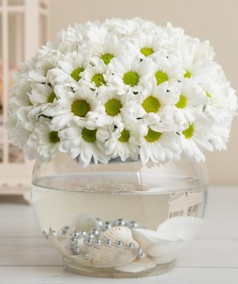 Fanusta beyaz Papatya Maraşalçakmak Mah sevgilime hediye çiçek  