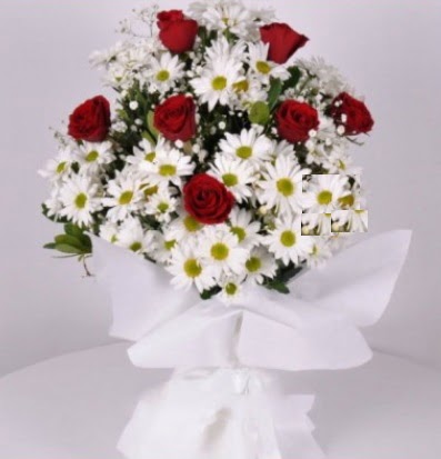 7 adet k�rm�z� g�l ve papatyalar krizantem Tando�an Mah g�venli kaliteli h�zl� �i�ek 