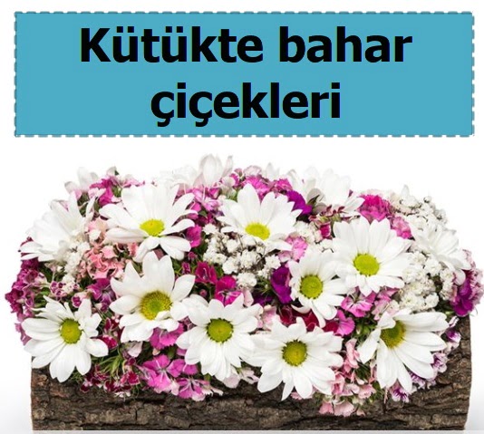 K�t�k i�erisinde k�r �i�ekleri P�narba�� Mahallesi �i�ek�i adresleri 