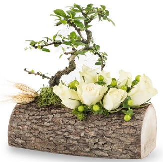 Do�al k�t�kte bonsai a�ac� ve 7 beyaz g�l Plevne Mahallesi �i�ek ma�azas� 