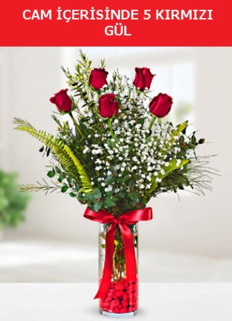 Cam i�erisinde 5 adet k�rm�z� g�l Atat�rk Mah yurti�i �i�ek sipari�i 