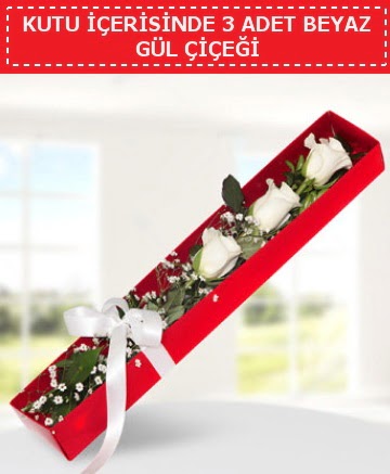 Kutu i�erisinde 3 adet beyaz g�l �i�e�i Fatih �i�ek g�nderme sitemiz g�venlidir 