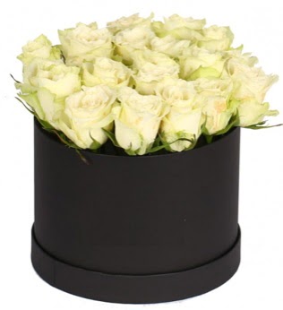 19 adet beyaz g�lden g�rsel kutu �i�e�i Atat�rk Mah yurti�i �i�ek sipari�i 