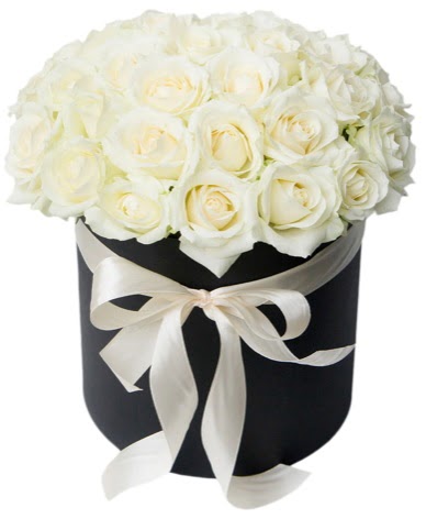 41 adet �zel kutuda beyaz g�l Mara�al�akmak Mah sevgilime hediye �i�ek  s�per g�r�nt� 