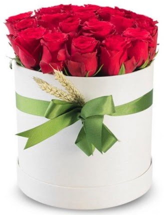 �zel kutuda 25 adet k�rm�z� g�l �i�e�i Mara�al�akmak Mah sevgilime hediye �i�ek 