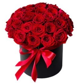 25 adet k�rm�z� g�l k�z isteme �i�e�i Tando�an Mah g�venli kaliteli h�zl� �i�ek 